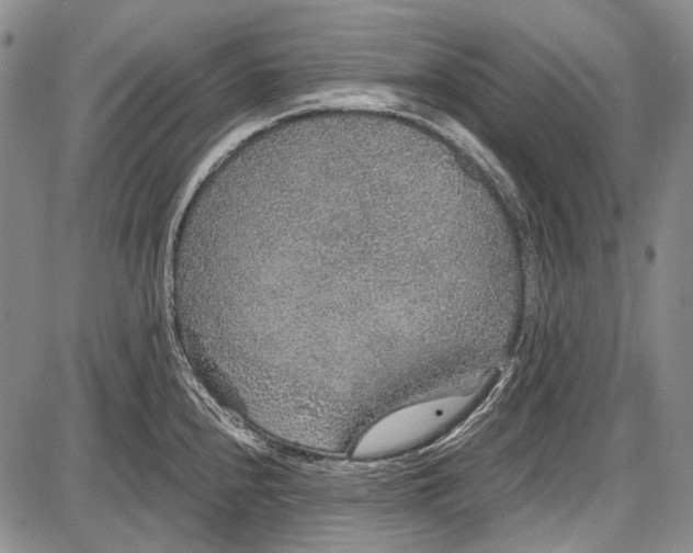 X0000087641240200705181517