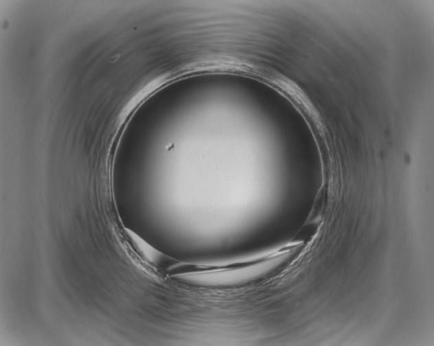 X0000087641242200705181517