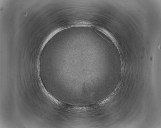 X0000087641243200705181517