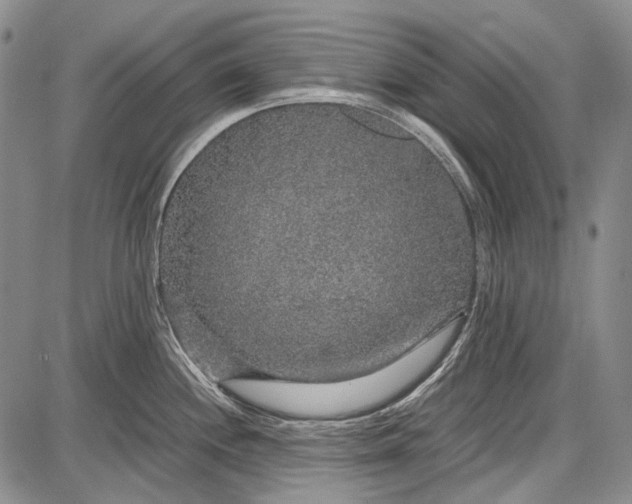 X0000087641244200705181517