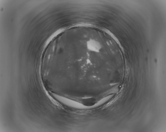 X0000087641245200705181517