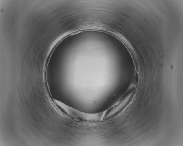 X0000087641246200705181517