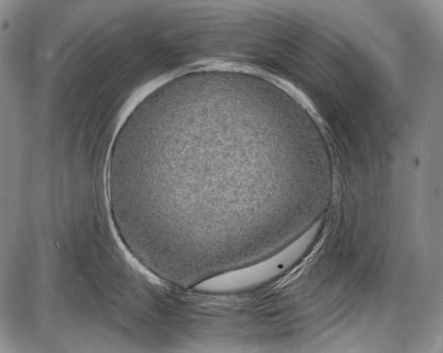 X0000087641247200705181517