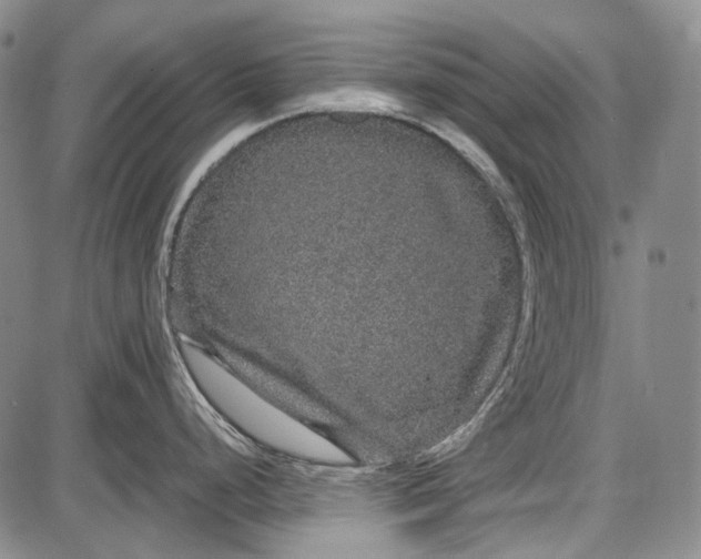 X0000087641248200705181517