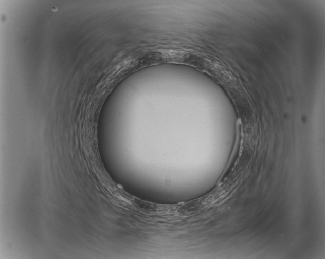 X0000087641249200705181517