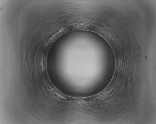 X0000087641250200705181517