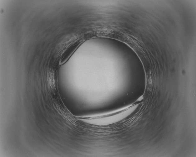 X0000087641252200705181517