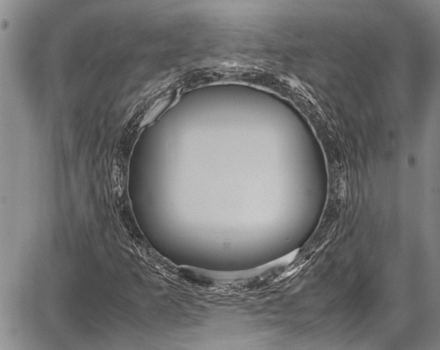 X0000087641253200705181517