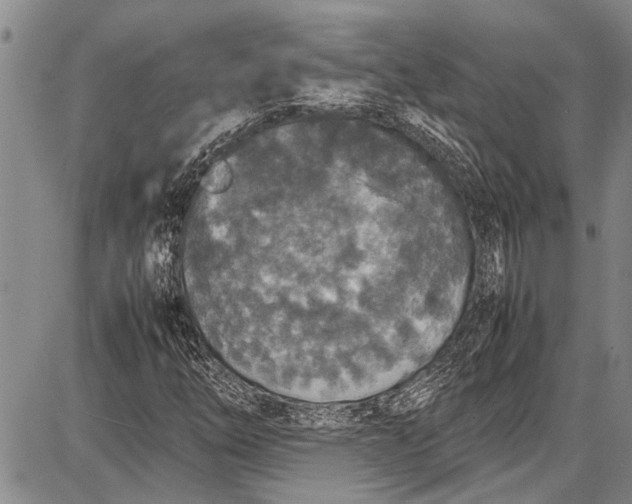 X0000087641254200705181517