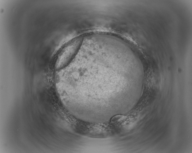 X0000087641255200705181517