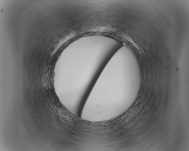 X0000087641256200705181517