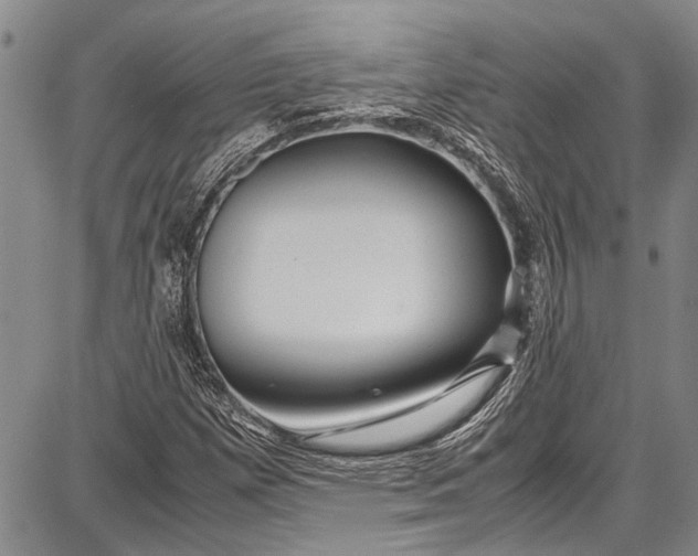 X0000087641257200705181517