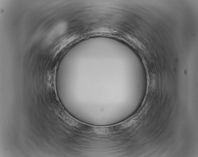 X0000087641258200705181517