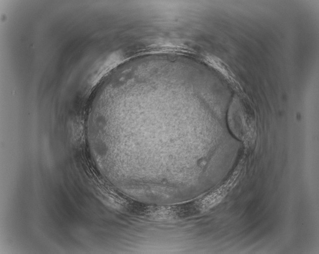 X0000087641259200705181516