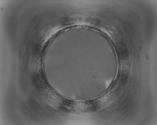 X0000087641263200705181516