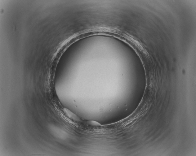 X0000087641264200705181516