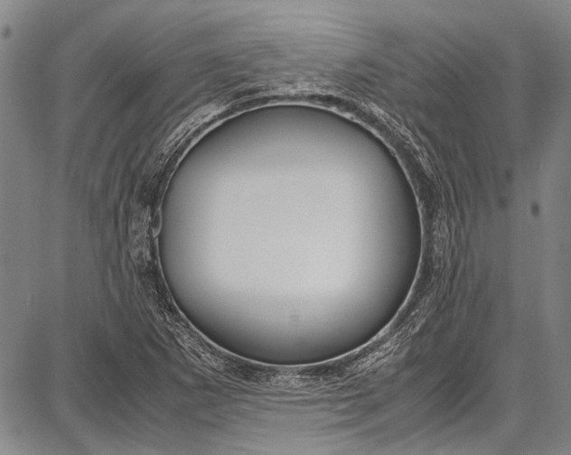 X0000087641265200705181516