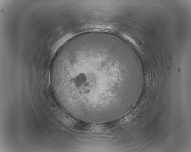 X0000087641267200705181516