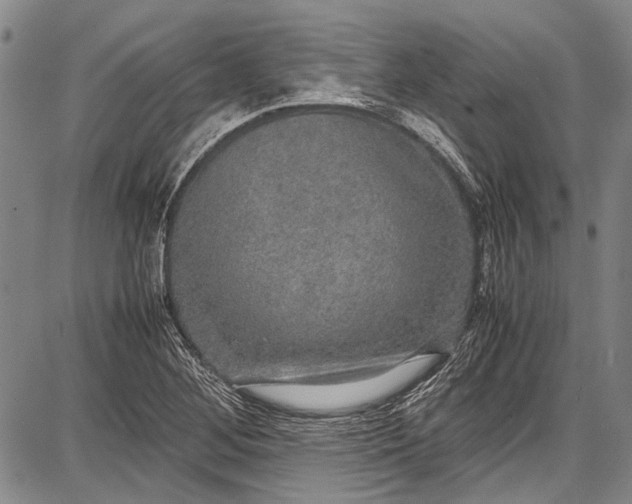 X0000087641268200705181516