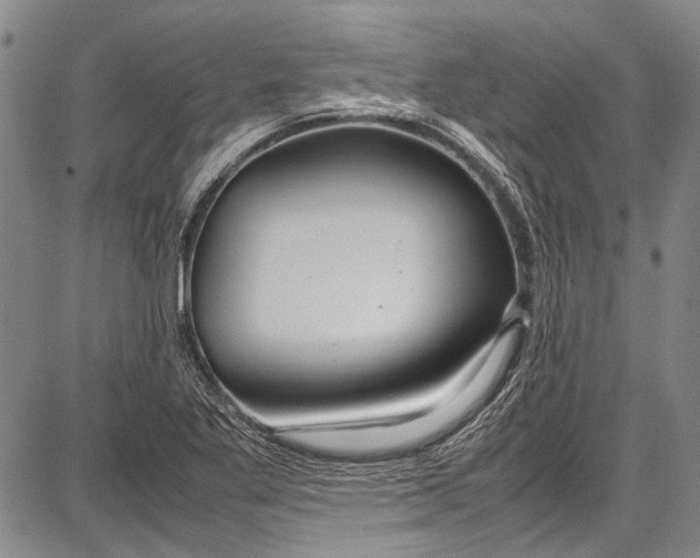 X0000087641269200705181516