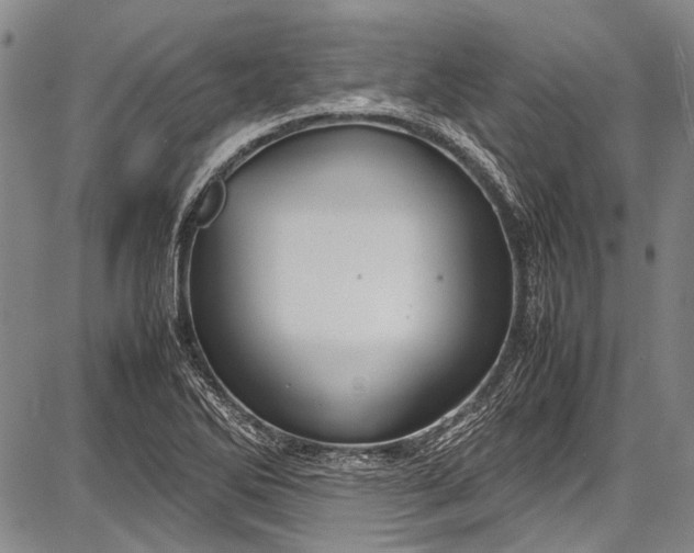 X0000087641270200705181516