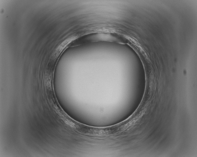 X0000087641273200705181516