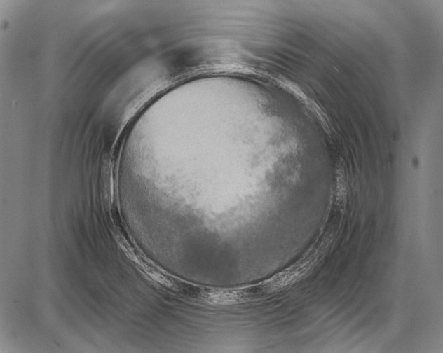 X0000087641274200705181516