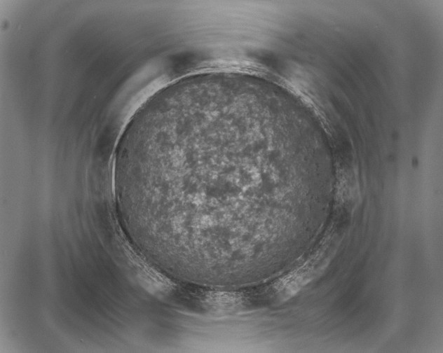 X0000087641275200705181516