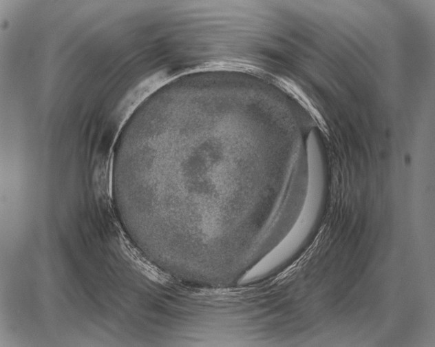 X0000087641276200705181516