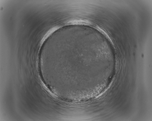 X0000087641277200705181516