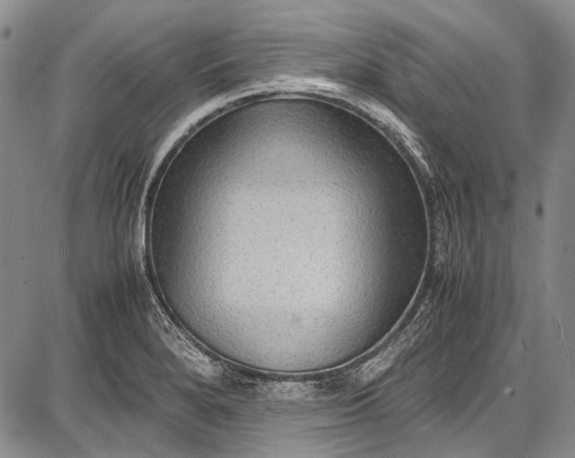 X0000087641280200705181516