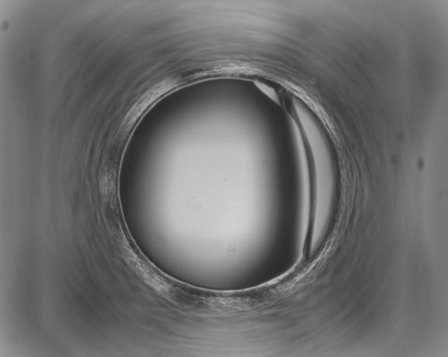 X0000087641281200705181516