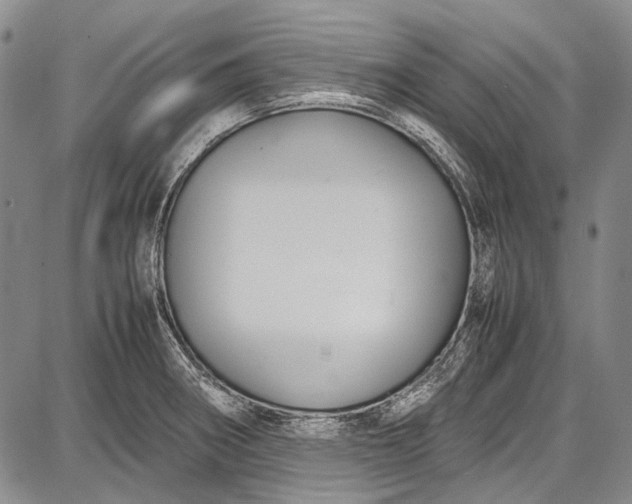 X0000087641282200705181516