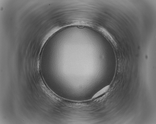 X0000087641284200705181516