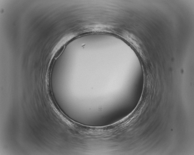 X0000087641285200705181516