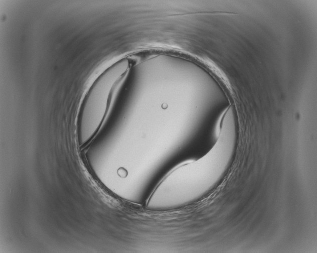 X0000087641287200705181516