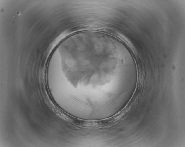 X0000087641291200705181516