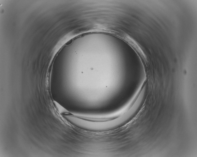 X0000087641292200705181516