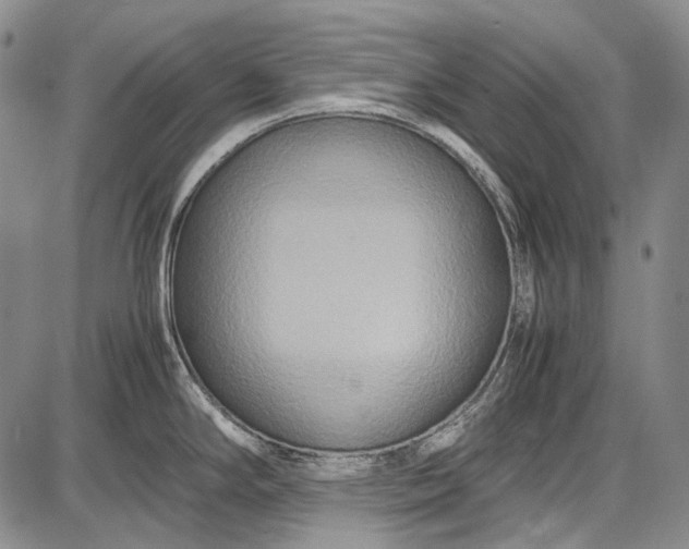 X0000087641294200705181516