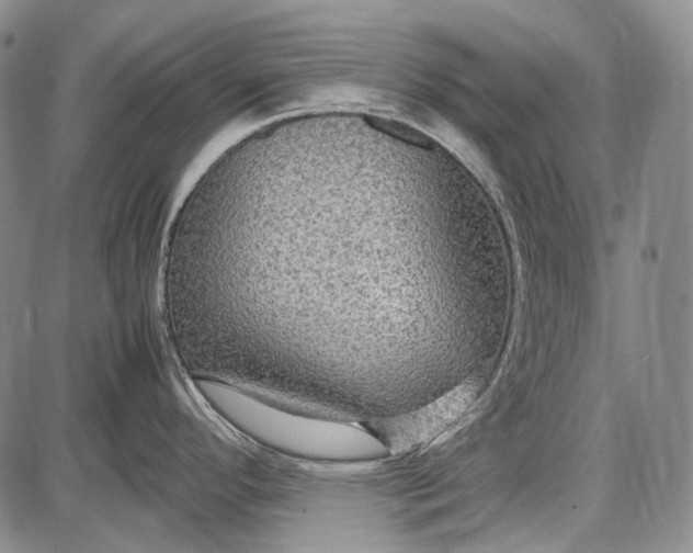 X0000087641296200705181516