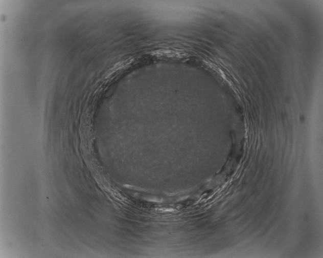 X0000087641297200705181515