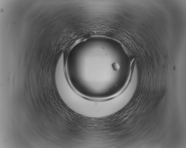 X0000087641298200705181515