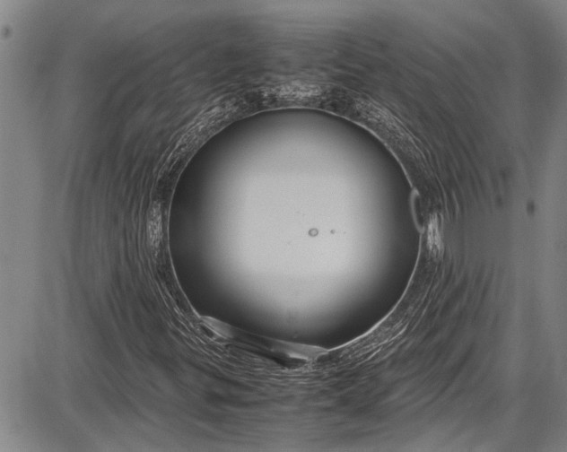 X0000087641299200705181515