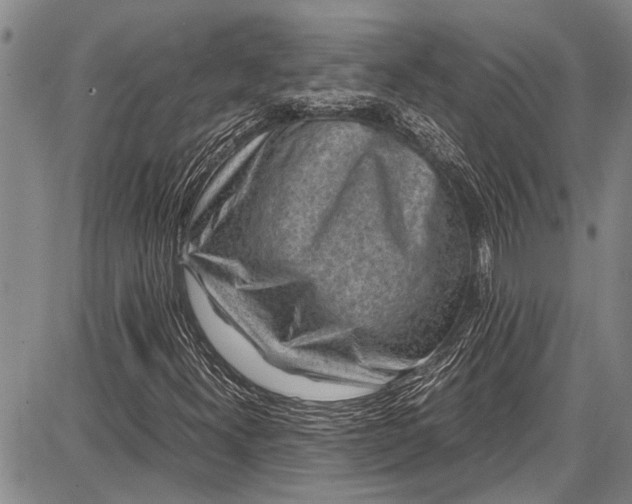 X0000087641300200705181515