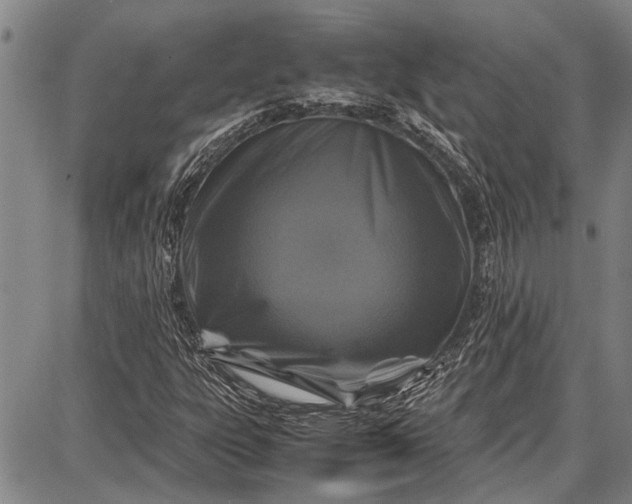 X0000087641303200705181515