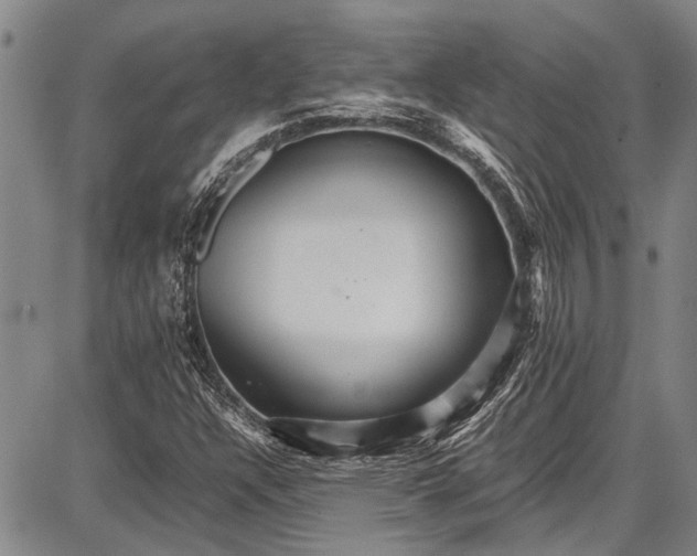 X0000087641304200705181515