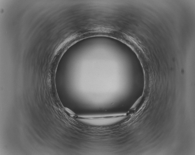 X0000087641307200705181515