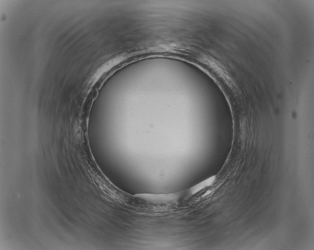 X0000087641308200705181515