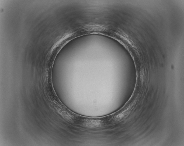 X0000087641309200705181515