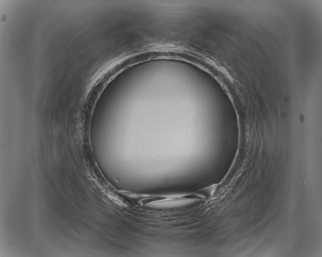 X0000087641311200705181515